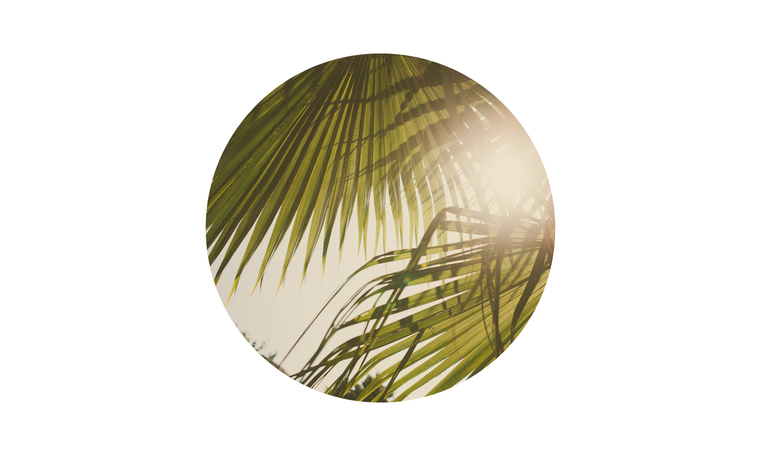 Espaces extérieurs Edifils