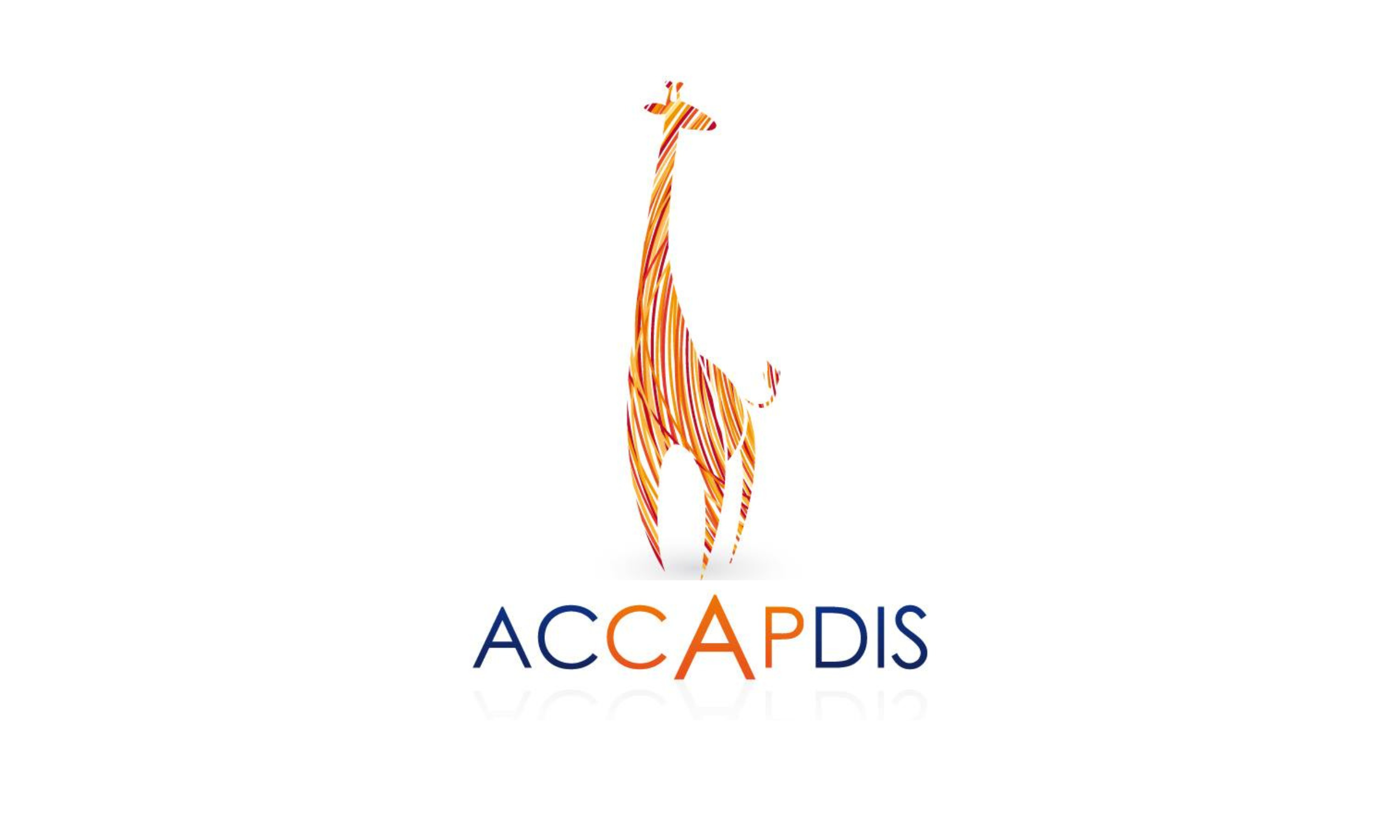  Accapdis - Partenaire Edifils Montpellier 